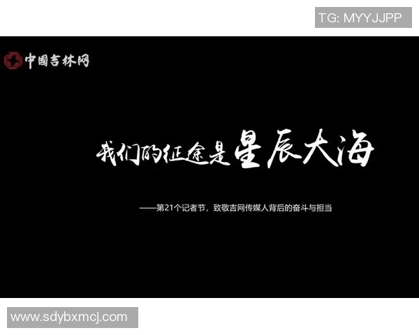 荼姚明星：璀璨星途背后的奋斗与梦想之旅